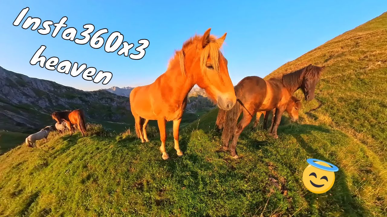 Insta360 X3✌️| 4K HIKING ⛰🌄🏞 | Tannheimer Tal | N12