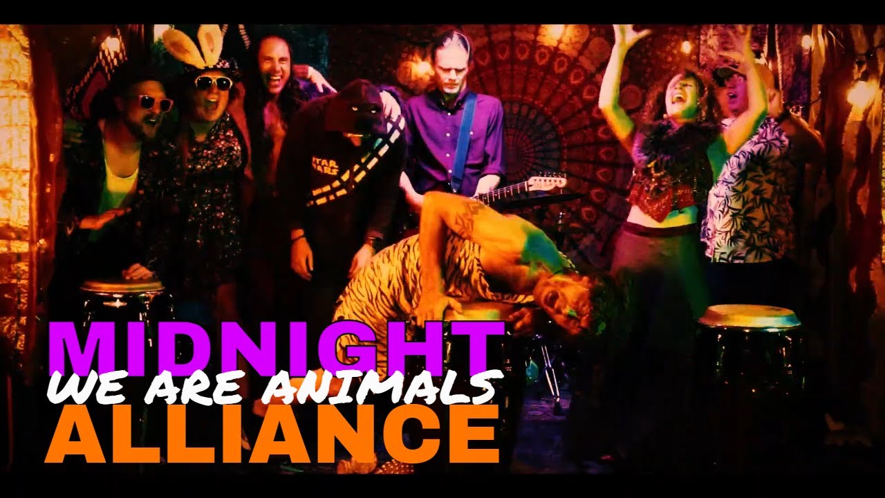 WE ARE ANIMALS - MIDNIGHT ALLIANCE
