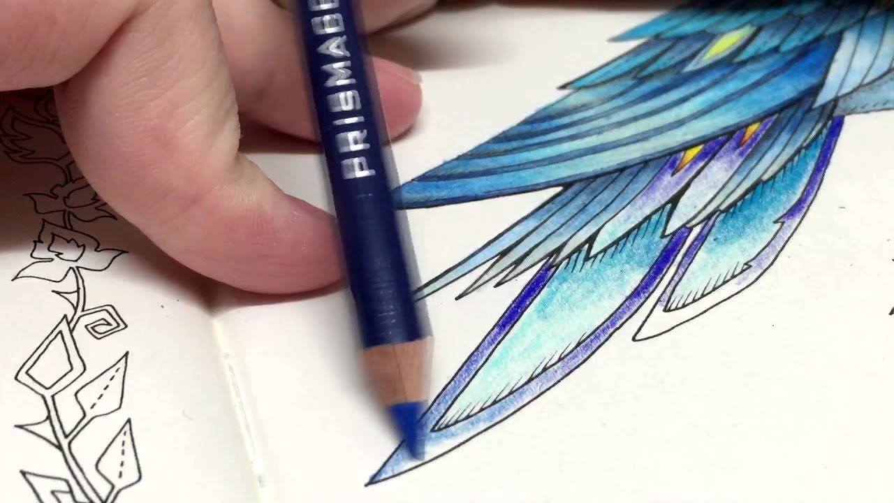ASMR Adult Coloring Enchanted Forest Blue Bird 12 Blended pencil Prismacolor Premier