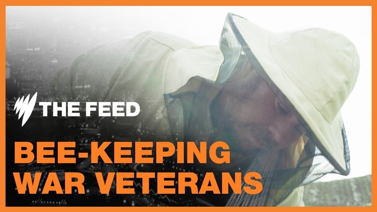 How bees helped these returned soldiers manage their PTSD | SBS The Feed