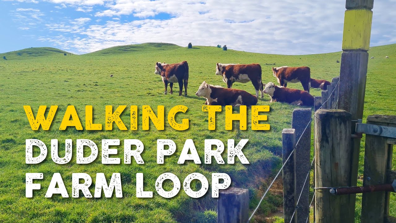 🇳🇿 Auckland New Zealand's Hidden Gem: Duder Regional Park
