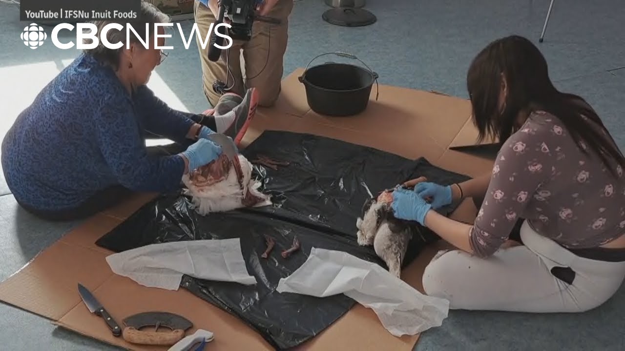 Documenting Inuit country food