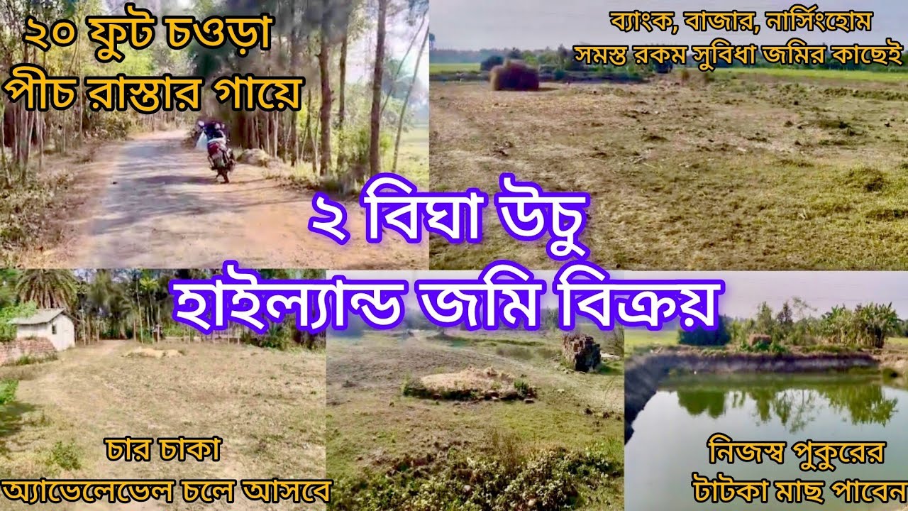 [269] ২০ ফুট চওড়া পীচ রাস্তার একদম গায়ে ২ বিঘা উচু হাইল্যান্ড জমি বিক্রয়। Roadside Land for Sale