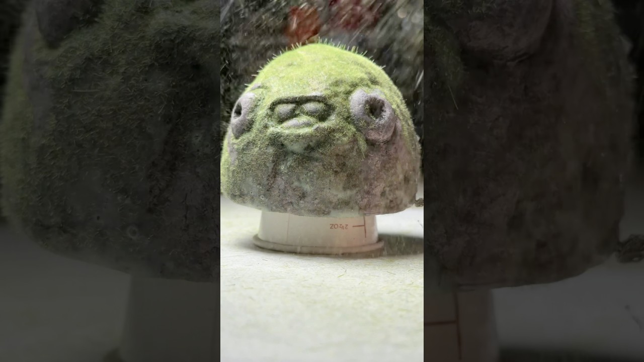 Flocking a Stone Blob