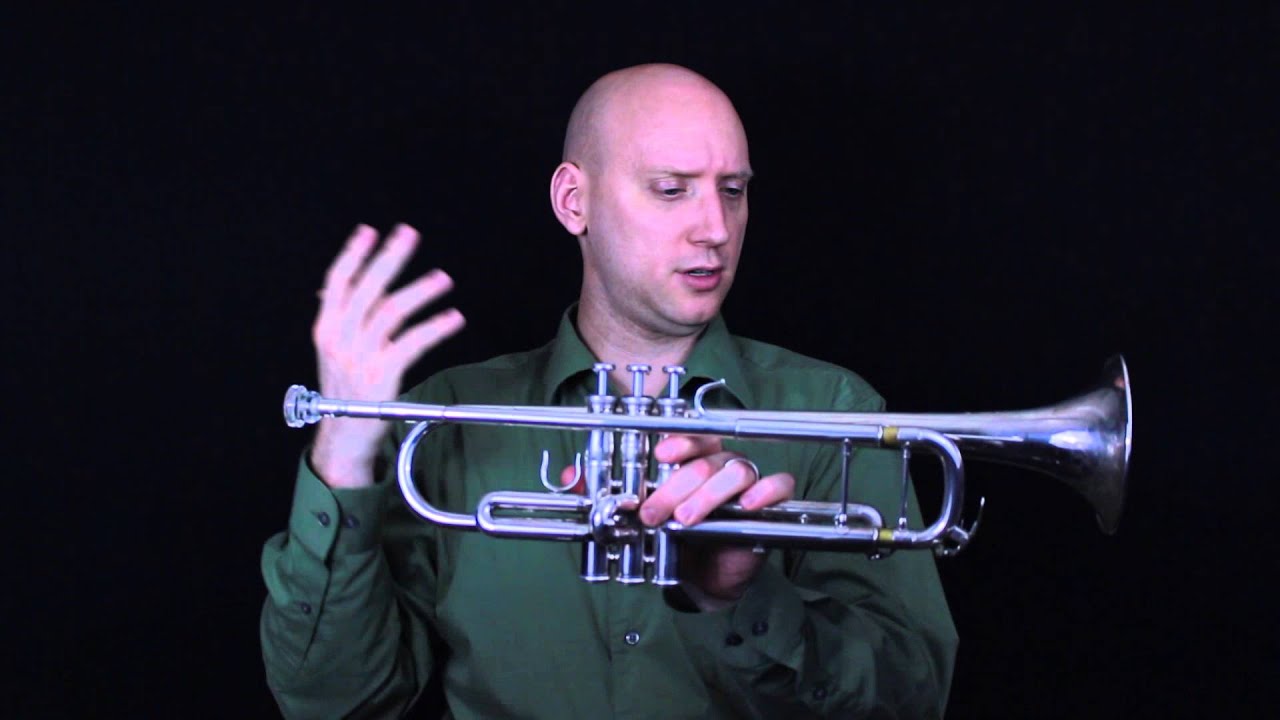 Trumpet Anatomy