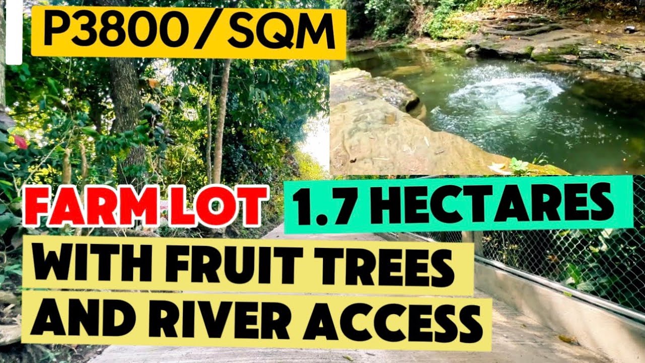 V1089-26 Alfonso Farm lot 1.7 hectares titled with fruit trees and river access 