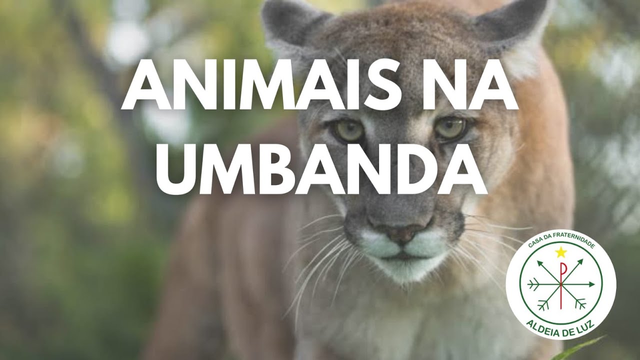 Animais na Umbanda