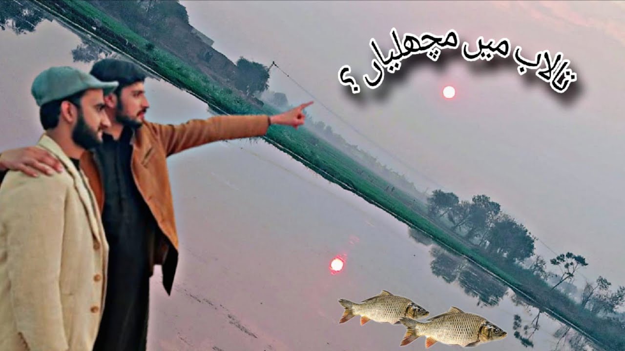Talab ma aye Machliya |Ponds after Flood| Daily escapades