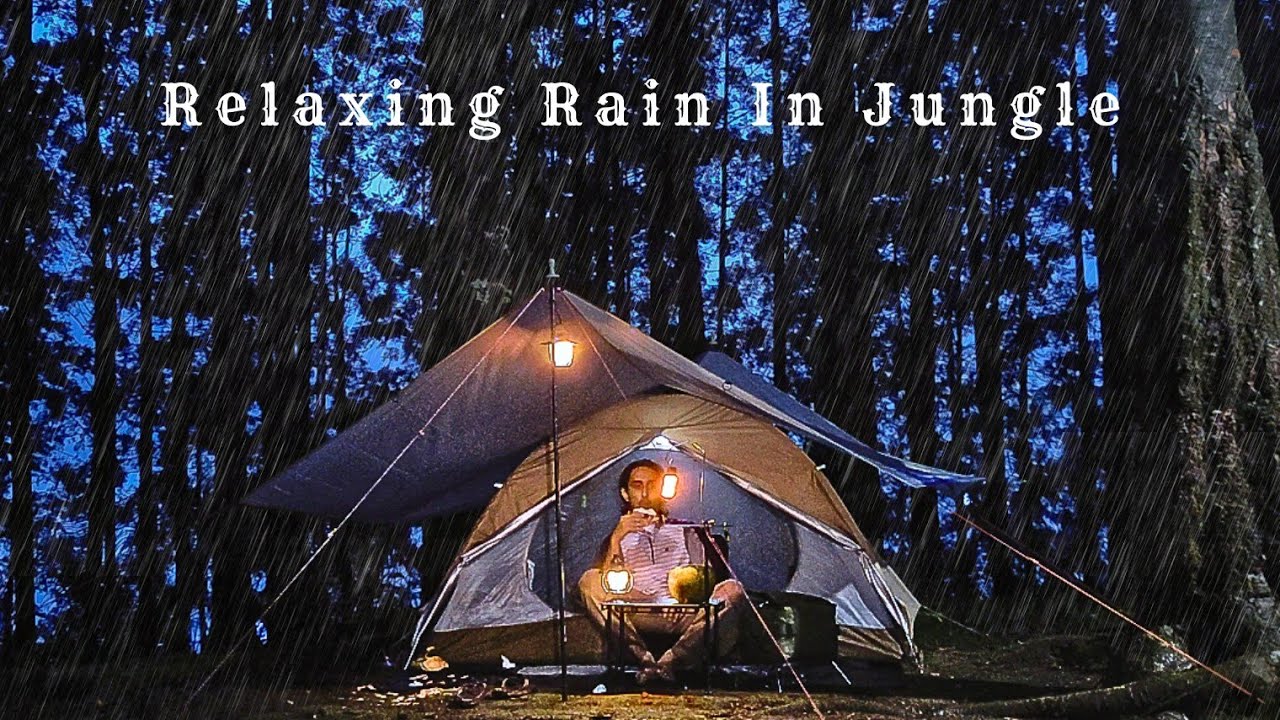 SOLO CAMPING HEAVY RAIN IN JUNGLE - RELAXING SOUND OF RAIN & NATURE - ASMR RAIN