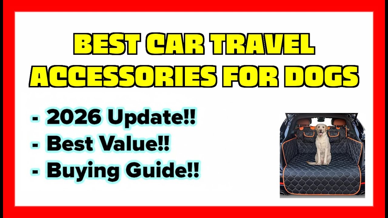 🔥TOP 7 Best Car Travel Accessories for Dogs 2026🔥 best deals on Amazon