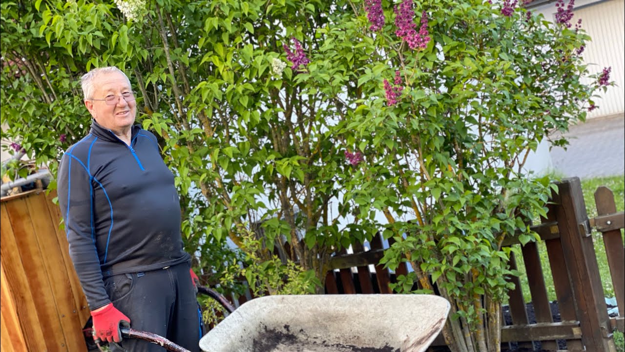 Бордюрчики-Цветочки! Служу России! Весь день на корачках! У_Клима_Элины_Familien_Vlog