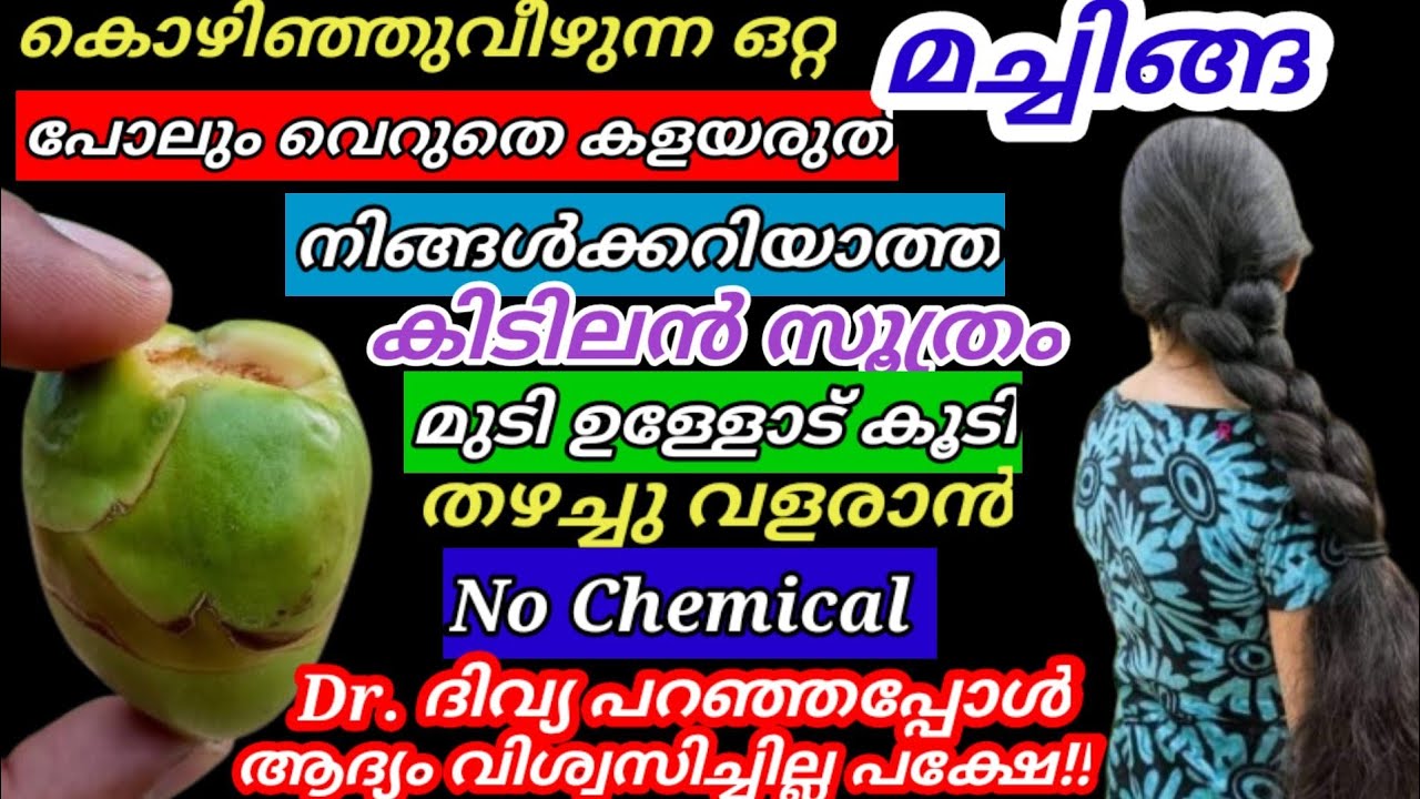 ഇനി ഞാൻ ബ്യൂട്ടിപാർലറിലേക്കില്ല  എന്നാലും വെച്ചിങ്ങാ കൊണ്ട് ഇങ്ങനെയൊരു സൂത്രം! മുടി വെട്ടി മടുക്കൂലോ