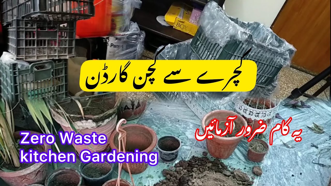 Happy New Year| Zero Waste Gardening| DIY Kitchen Gardening| Complete Soil Mix & Planting| Series 1