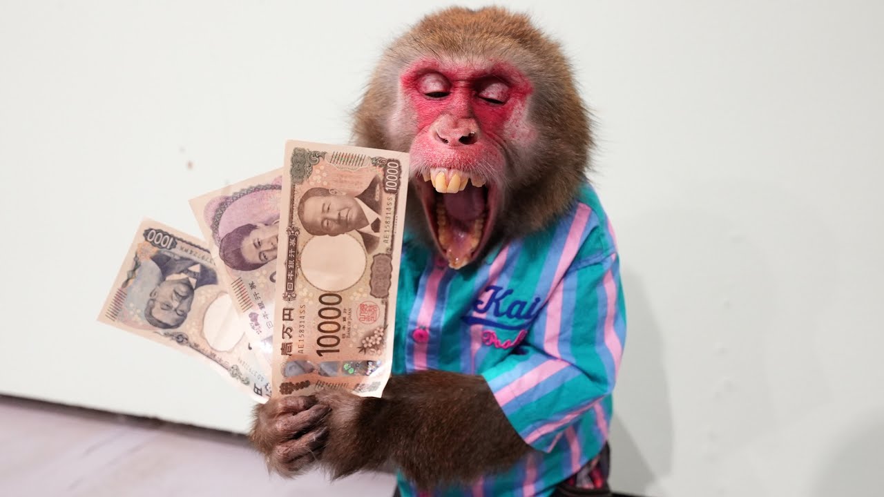 もう怖いです…お猿さんがお金の価値を理解しだして人間化しています