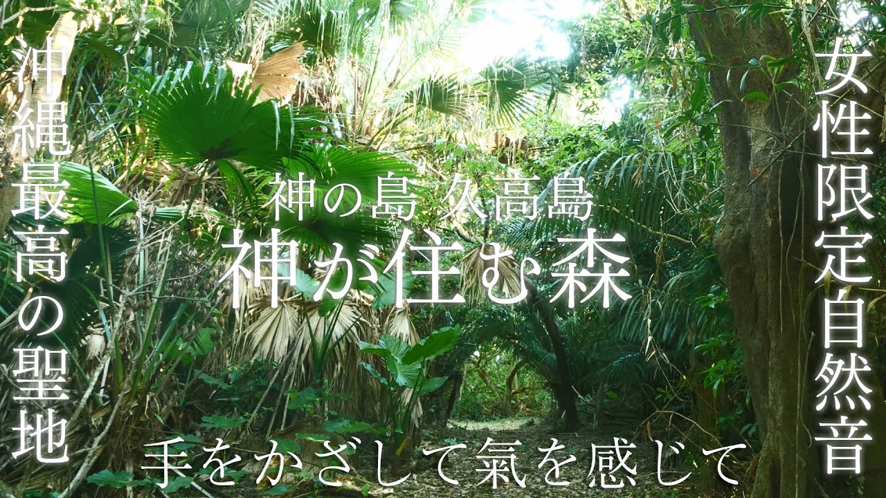 【女性限定・沖縄最高の聖域】神の島・久高島の「神が住む森」の自然音を聞くだけで女性のスピリチュアル能力が高まる波動のパワースポット自然音【聞き流すリラックス＆癒し＆能力開発】sacred place