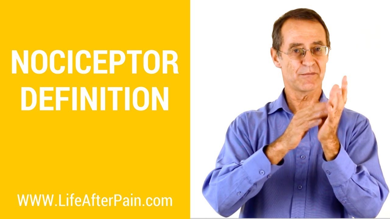Nociceptor Definition