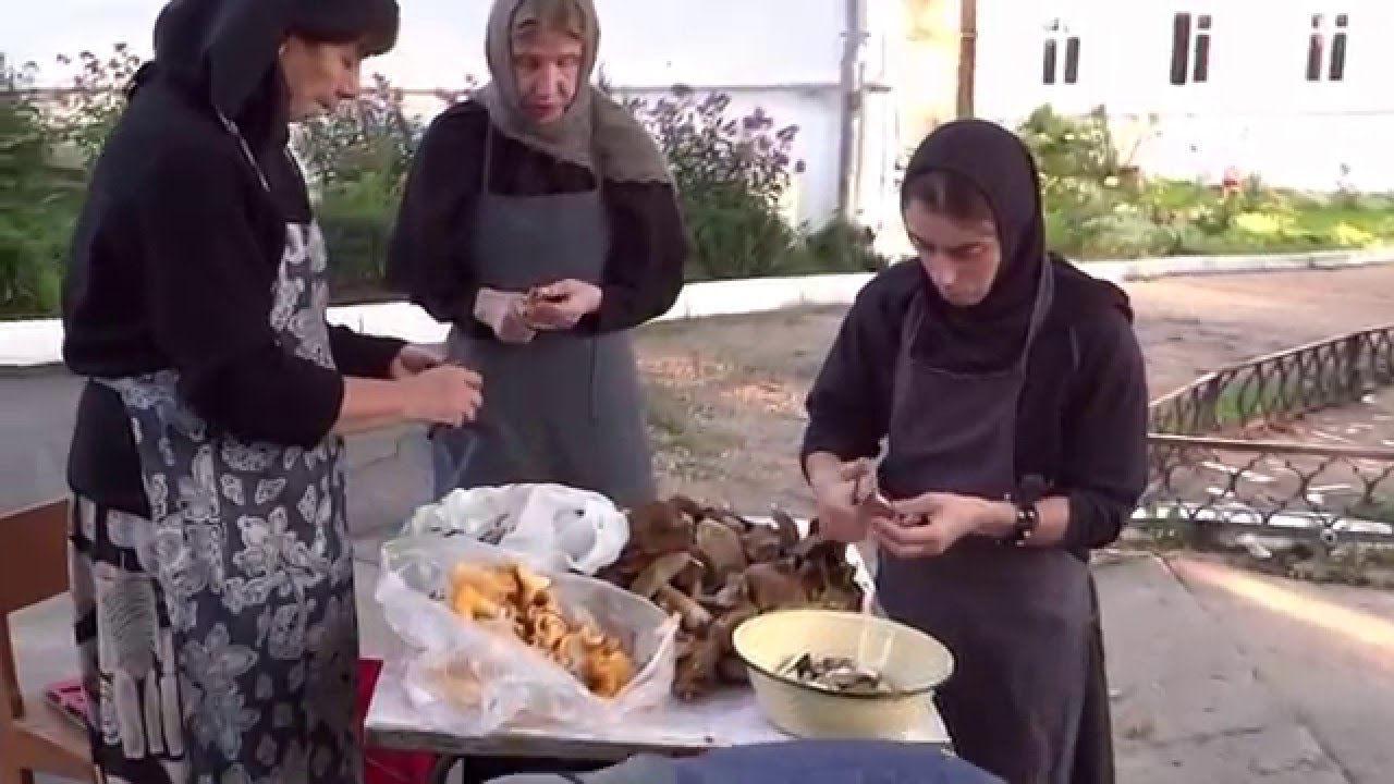 лес