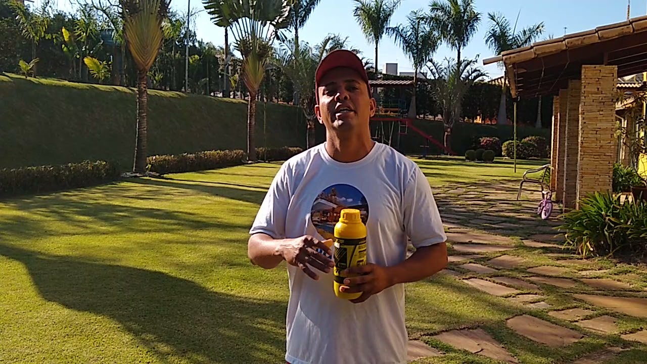 como deixar o gramado top, após podar a grama ...