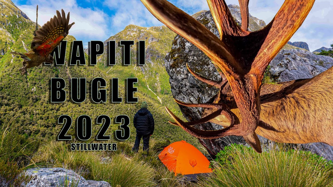 Solo Wapiti/Elk Hunt in Fiordland | NZ’s Most Challenging Public Land