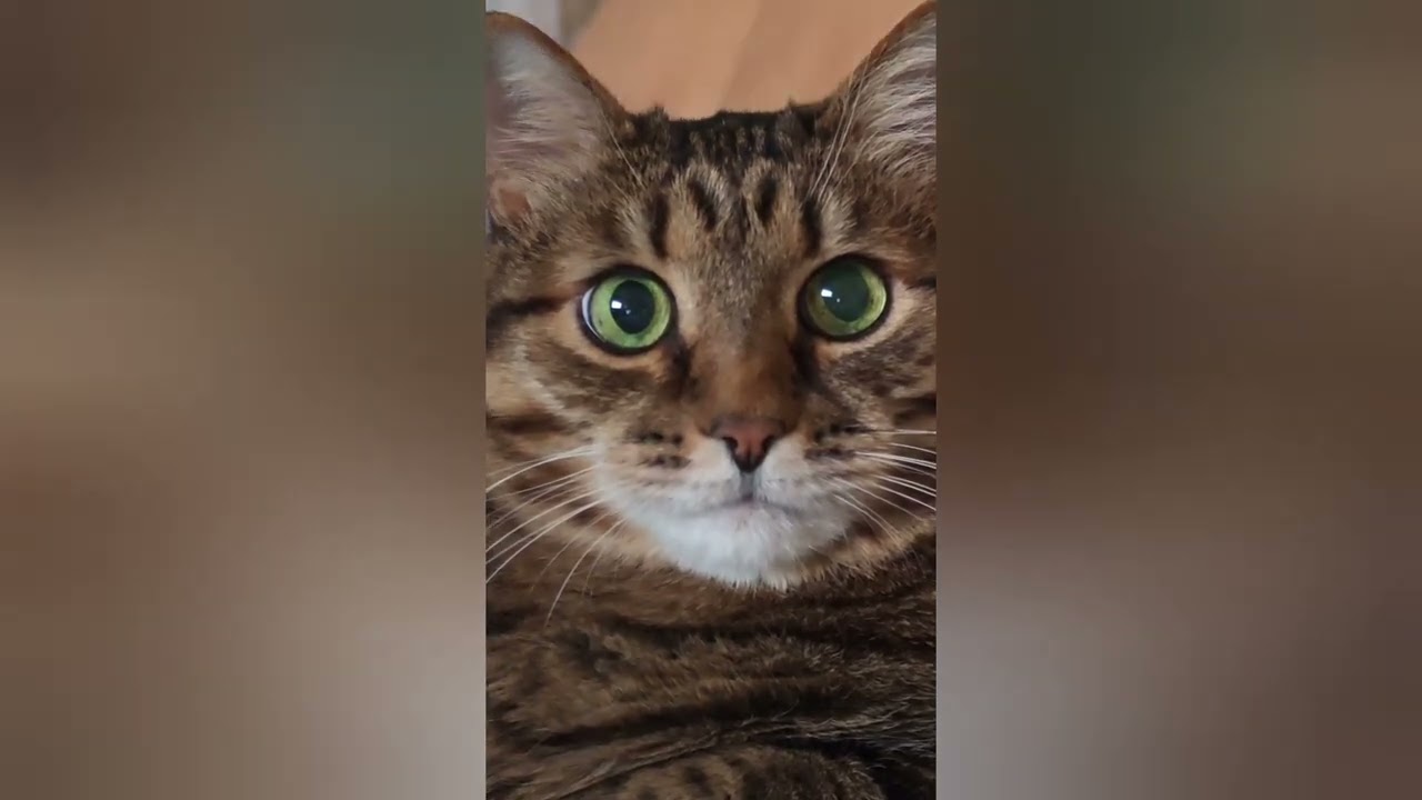 День всех влюбленных 😻😍🤩❤