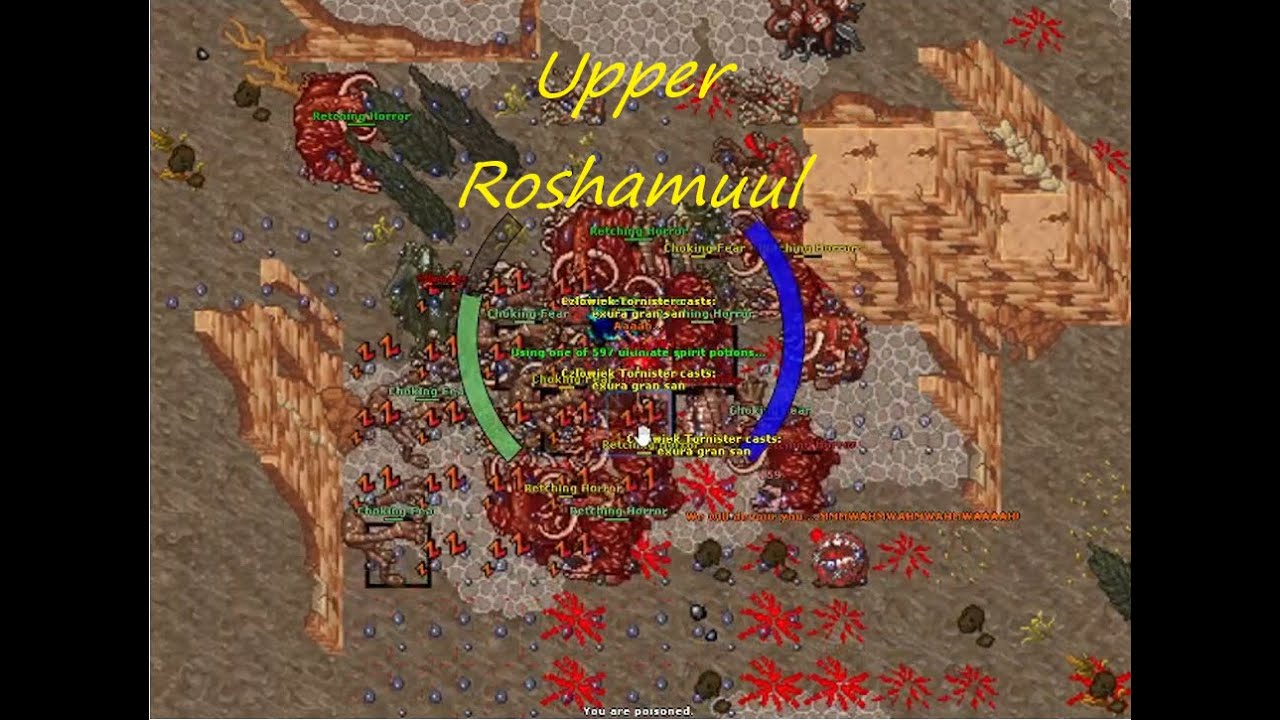 Tibia Rp solo hunt Upper Roshamuul 10kk raw/h   2,5kk Profit