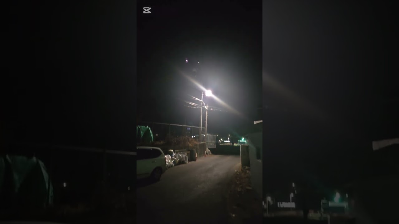 260210 산책vlog_작심1일