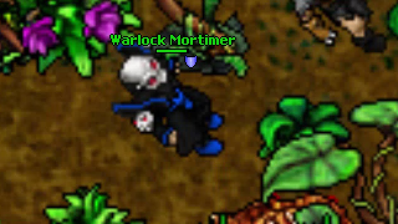 Warlock Mortimer | HUNTING (Astera, Tibia 7.8)