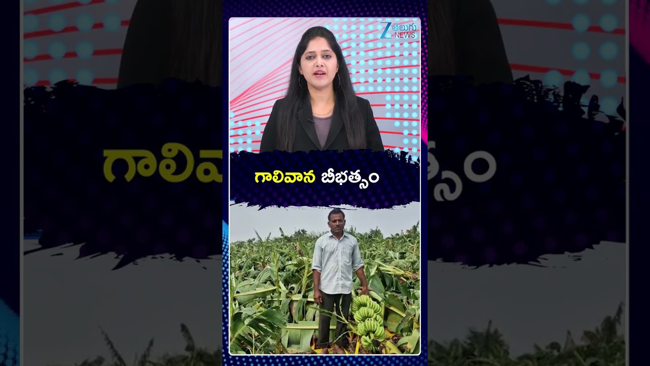 Heavy Rains In Warangal District | గాలివాన బీభత్సం | ZEE Telugu News