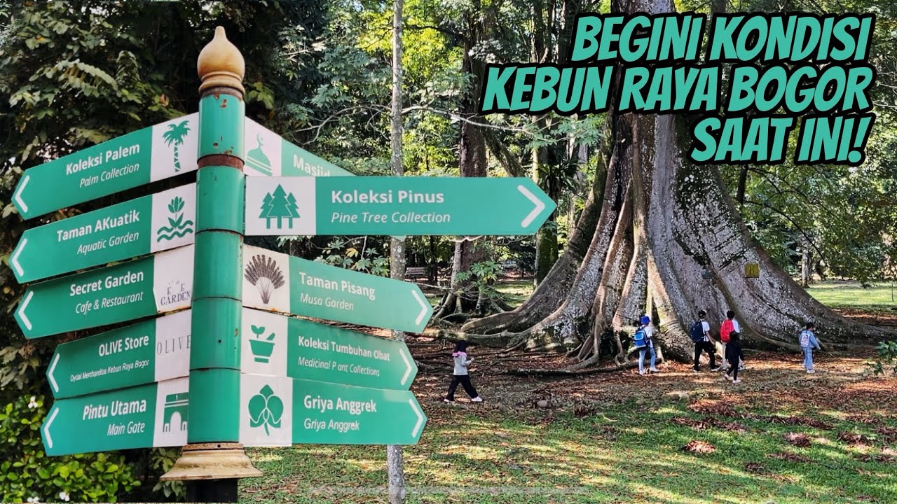 UPDATE TERKINI KONDISI & TIKET MASUK TAMAN KEBUN RAYA BOGOR PINTU GATE 1 #BOGOR #KEBUNRAYABOGOR