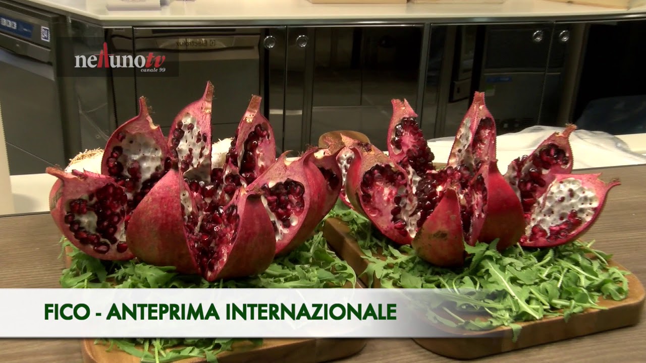 Anteprima di FICO!