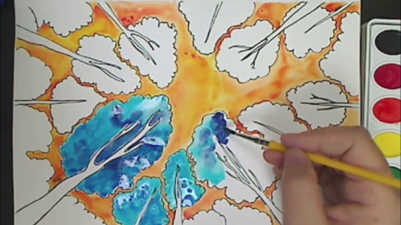 Worms Eye Perspective Project