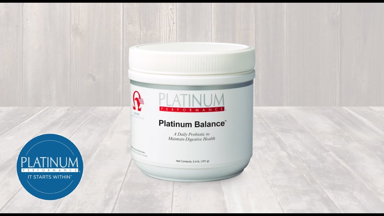 How to Feed My Horse Probiotics and Prebiotics with Platinum Balance