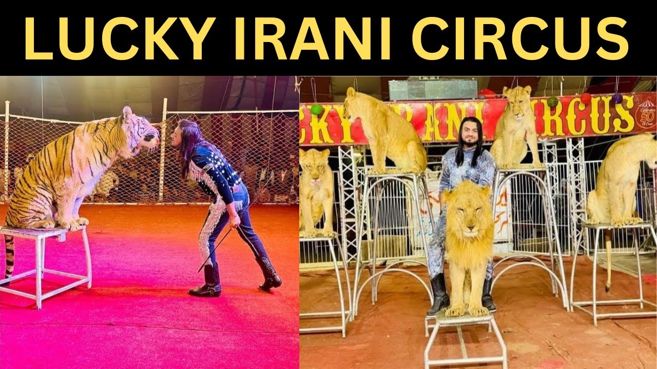 Lucky Irani circus Lion Show | لکی ایرانی سرکس | Latest Lucky Irani Circus Show | Pakistani Vlogs