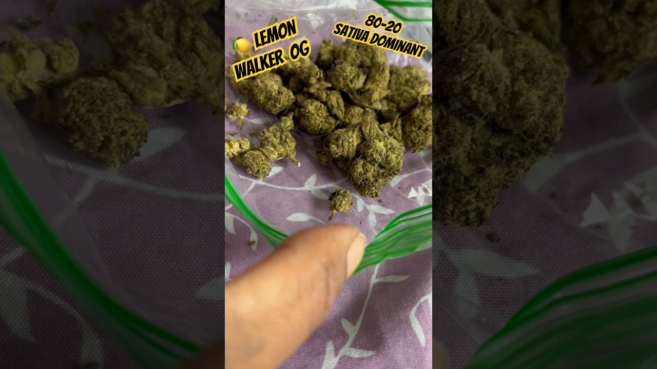🍋 Lemon-Walker OG Strain Review