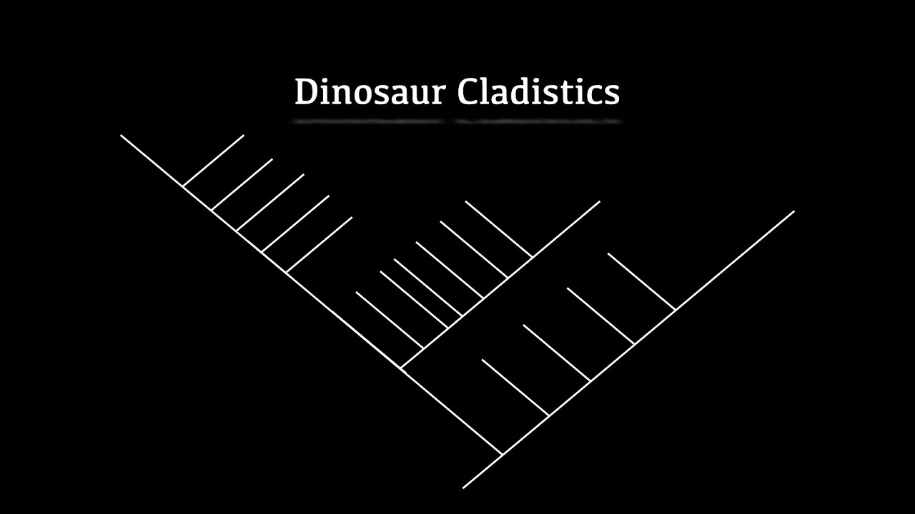 Dinosaur Cladistics