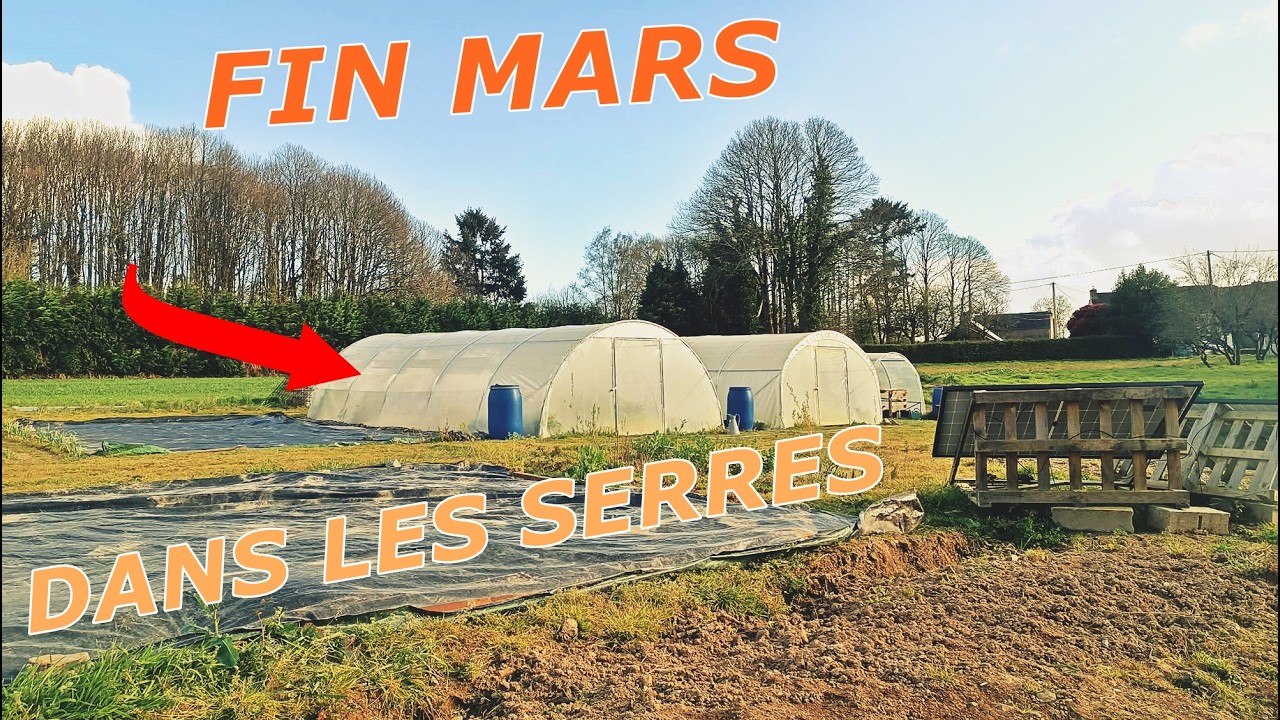 Fin Mars na stronie Visite les Serres (potager de Bretagne)