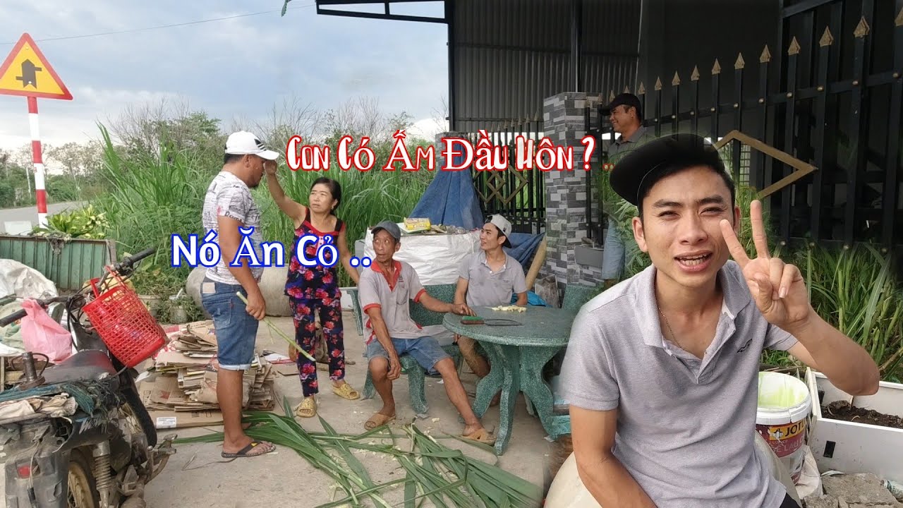 Thuận Gòm Dì 2 Ve Chai Tài Sún Troll Bà Bé Siêu Hài