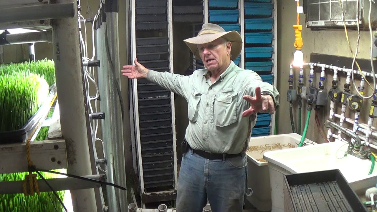 Feeding Horses Fodder at Paul Johnson's Cripple Gray Ranch, 12/27/2019.  2 of 4.