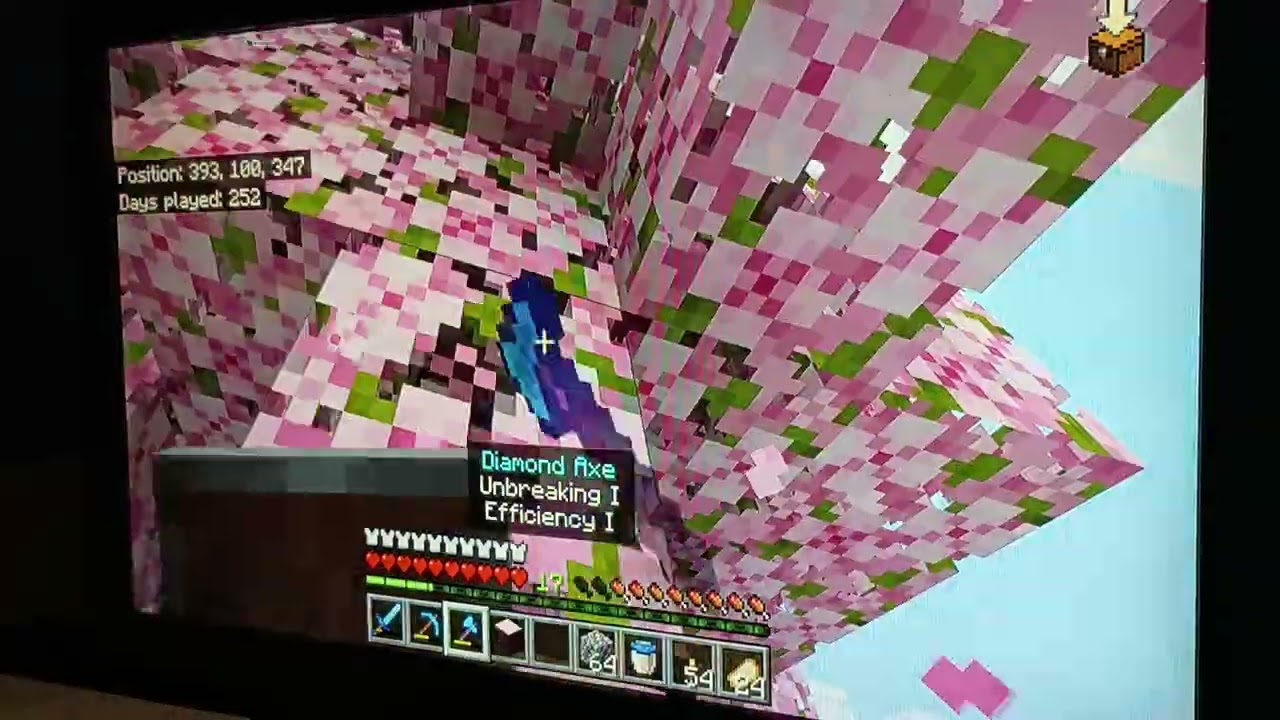 I survived 200-300 Days in Minecraft survival(currently on day 256)