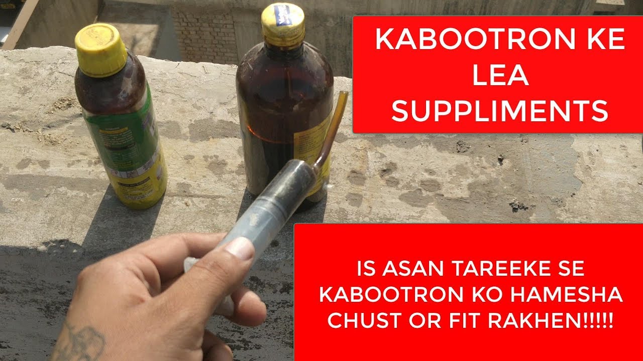 कबूतर के लिए सप्लीमेंट !! KABOOTAR KE SUPPLIMENTS