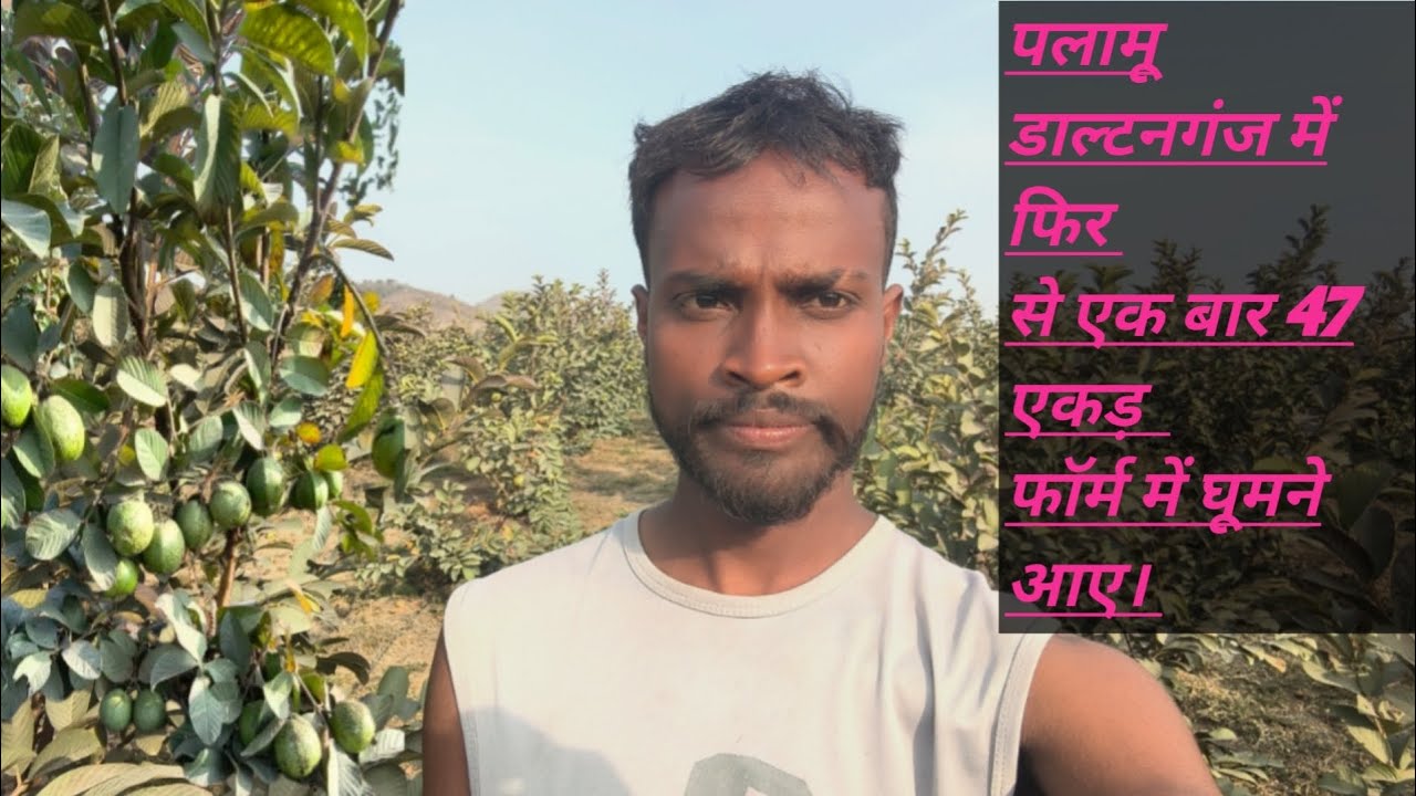 पलामू डाल्टनगंज में फिर से एक बार 47 एकड़ फॉर्म में घूमने आए 