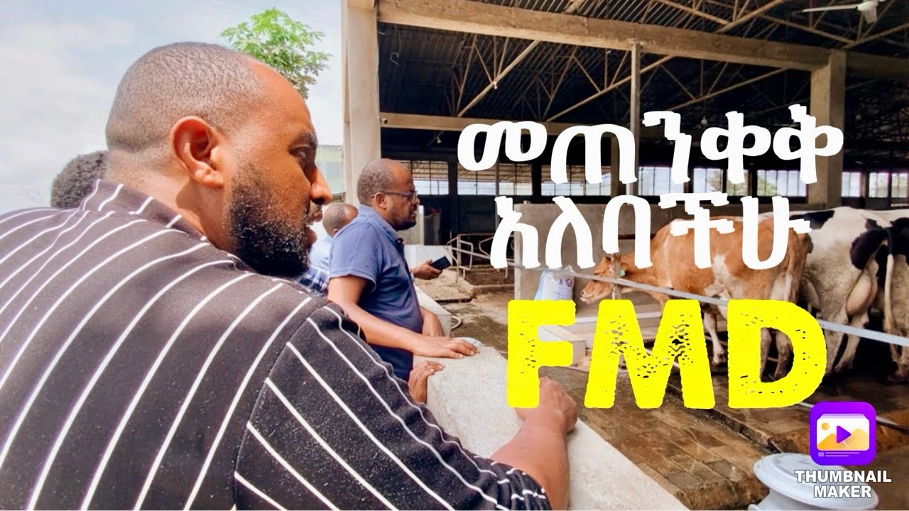 FMD ለመከላከል ማድረግ ያለባችሁ ወሳኝ ጥንቃቄዎች