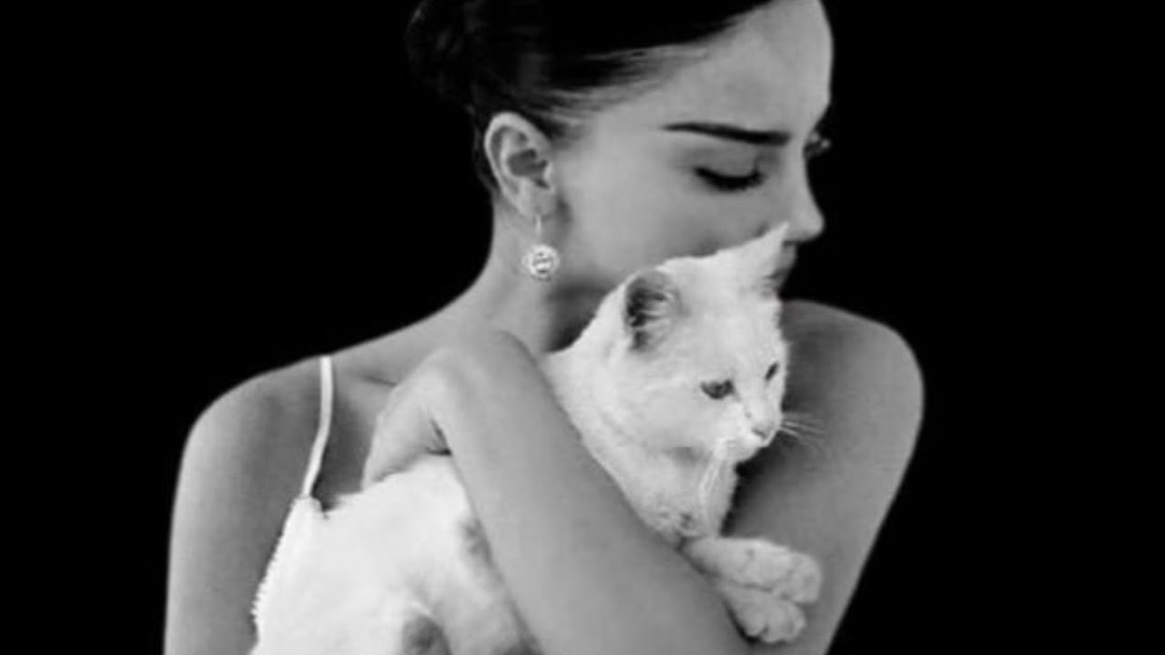 ARIES ♈️❤️ I KNOW DETACHING IS HURTING NOW BUT, HOLDING ON/FEELING STUCK WAS TOO HEARTBREAKING!🌹