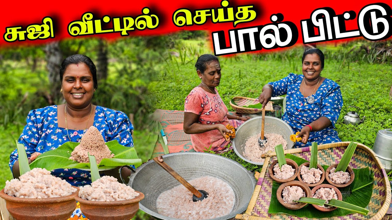 மழைக் குளிருக்கு சூடான பால் பிட்டு | Our Village life ♥️ vanni vlog