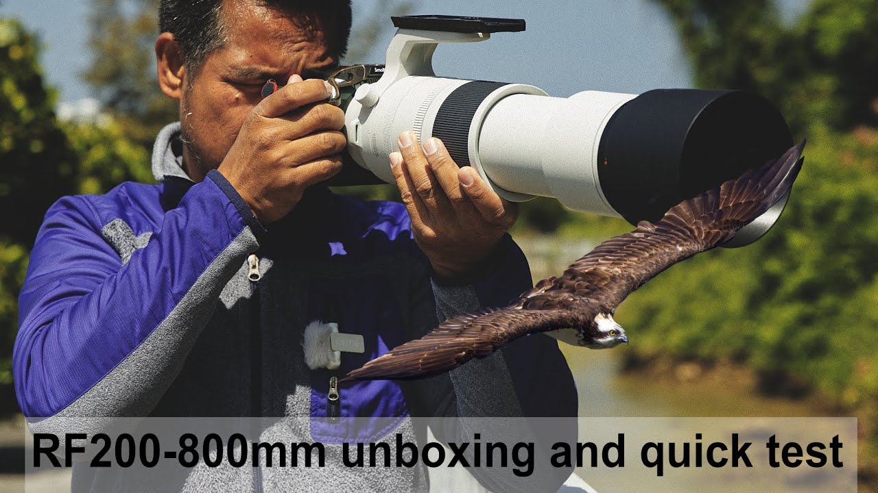 Canon rf200 800mm  unboxing and quick test, is it better than my 100-500mm?  lets find out