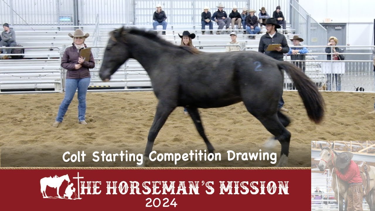 Colt Starting Competition Drawing - 2024 The Horseman's Mission