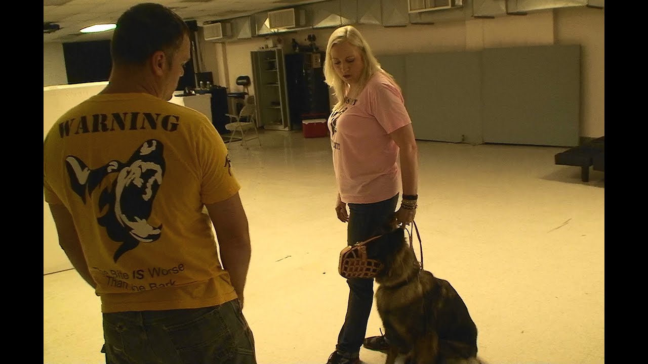 Aggression / Attack on COMMAND Dog Training - www.K9-1.com