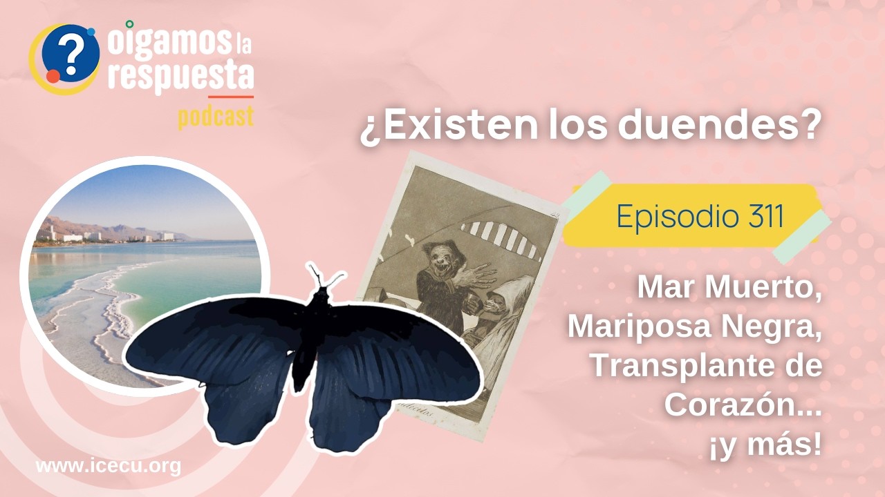 Ep 311: ¿Existen los duendes? Mar Muerto, Mariposa Negra, Transplante de Corazón, Nevado del Ruiz