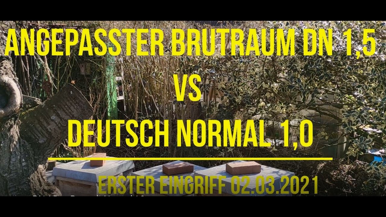 Angepasster Brutraum DN 1.5 vs DN 1.0/Durchsicht am 16.04.2021