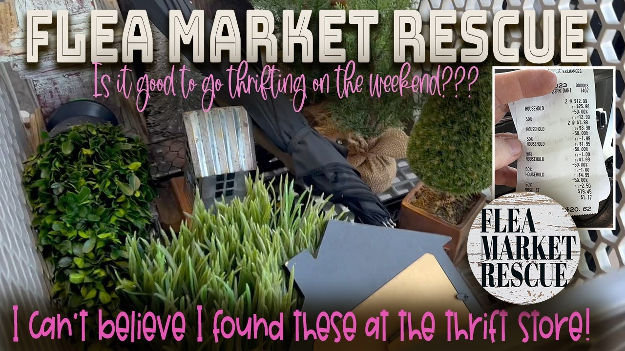 COME ON A THRIFT STORE SHOPPING HAUL WITH ME ON THE WEEKEND!